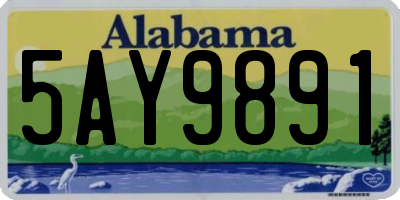 AL license plate 5AY9891