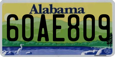 AL license plate 60AE809