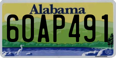 AL license plate 60AP491