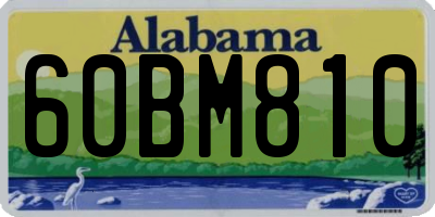 AL license plate 60BM810