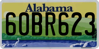 AL license plate 60BR623