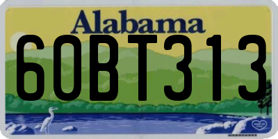 AL license plate 60BT313