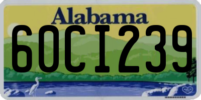 AL license plate 60CI239