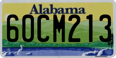 AL license plate 60CM213