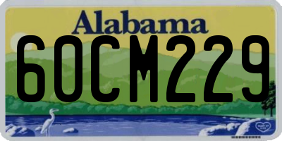 AL license plate 60CM229