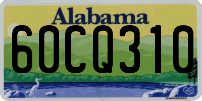 AL license plate 60CQ310