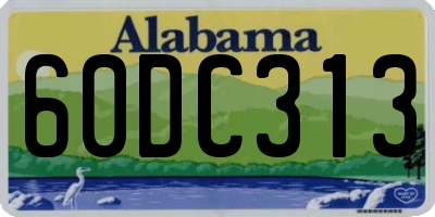 AL license plate 60DC313