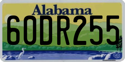 AL license plate 60DR255