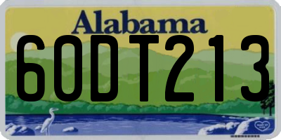 AL license plate 60DT213