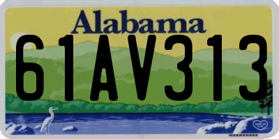AL license plate 61AV313