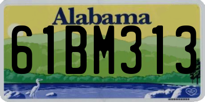 AL license plate 61BM313