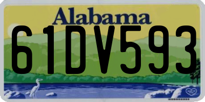 AL license plate 61DV593