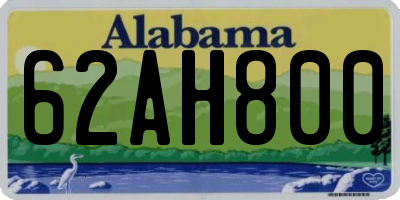 AL license plate 62AH800