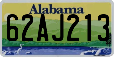 AL license plate 62AJ213