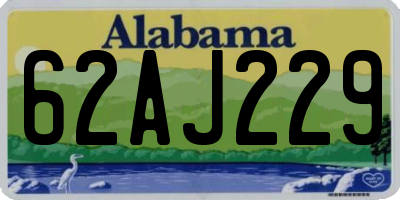 AL license plate 62AJ229