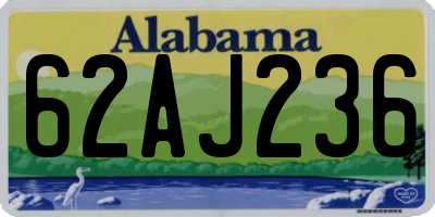AL license plate 62AJ236