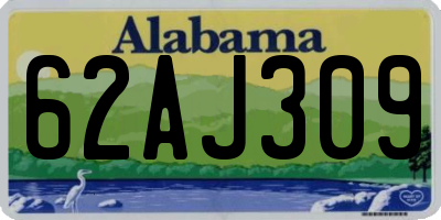 AL license plate 62AJ309