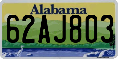AL license plate 62AJ803