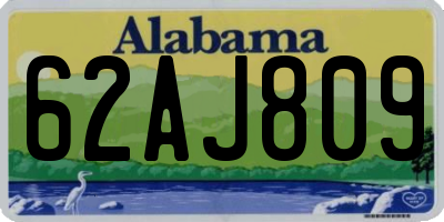 AL license plate 62AJ809