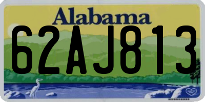 AL license plate 62AJ813