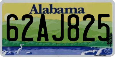 AL license plate 62AJ825