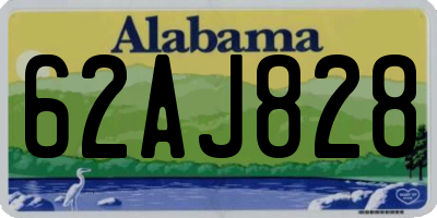 AL license plate 62AJ828