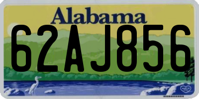 AL license plate 62AJ856