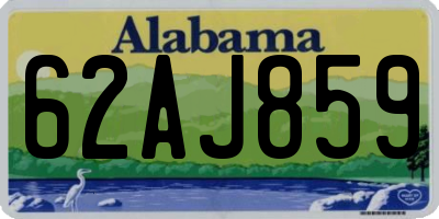 AL license plate 62AJ859