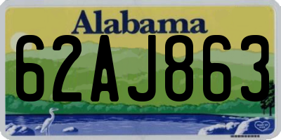 AL license plate 62AJ863
