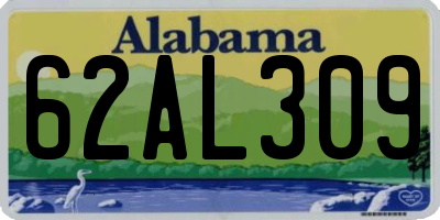 AL license plate 62AL309