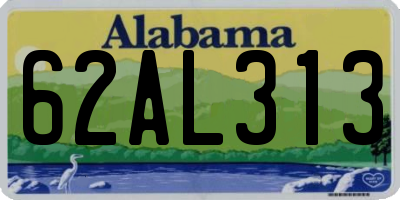 AL license plate 62AL313
