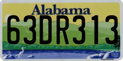 AL license plate 63DR313