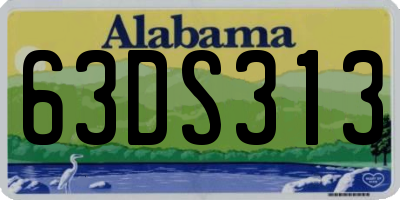 AL license plate 63DS313