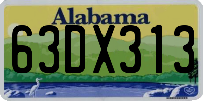 AL license plate 63DX313