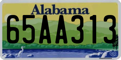 AL license plate 65AA313