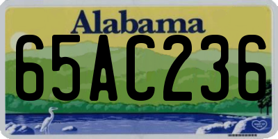AL license plate 65AC236