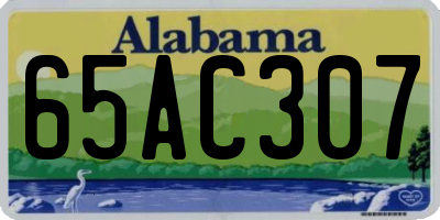 AL license plate 65AC307