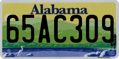 AL license plate 65AC309