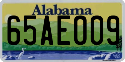AL license plate 65AE009