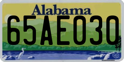 AL license plate 65AE030