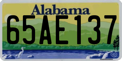AL license plate 65AE137
