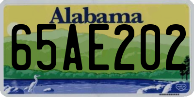 AL license plate 65AE202