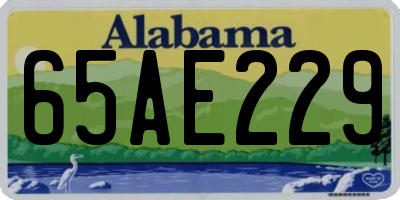 AL license plate 65AE229