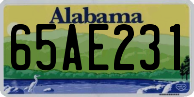 AL license plate 65AE231