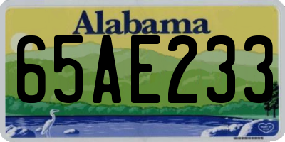 AL license plate 65AE233