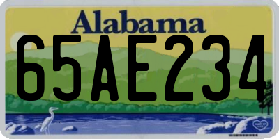 AL license plate 65AE234