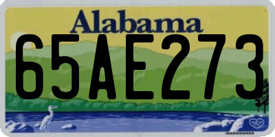 AL license plate 65AE273
