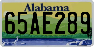 AL license plate 65AE289