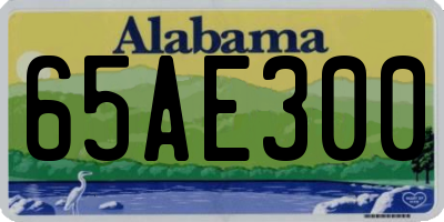 AL license plate 65AE300