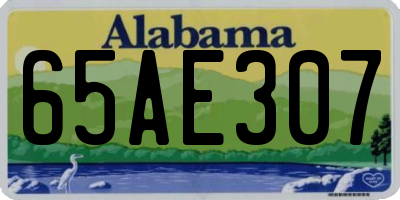AL license plate 65AE307
